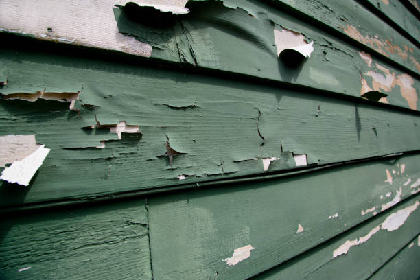 Shed Removal in Plant City, FL